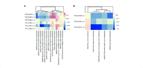 Differentially Abundant Kegg Brite Hierarchies A Heatmap Showing