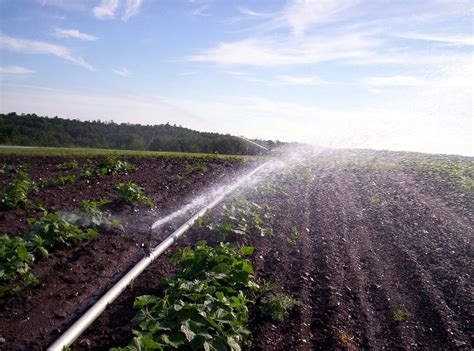 Why Flow Meters are Important for Irrigation Systems | ChemTec