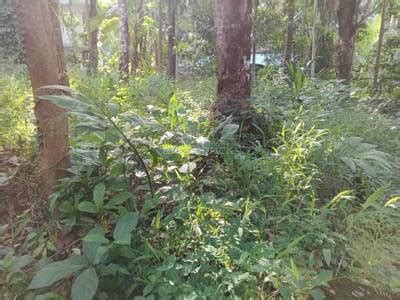 Plots For Sale In Kannur Residential Land Plots In Kannur