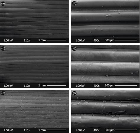 Scanning Electron Microscopy Sem Images Of The Side Surface