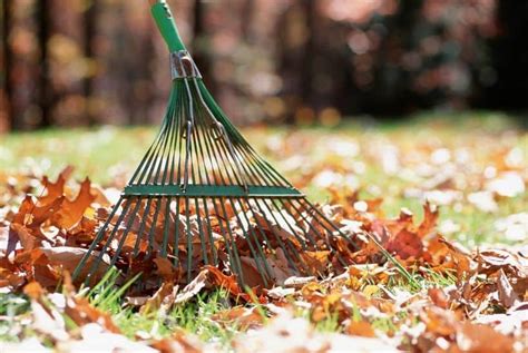 10 Fall Garden Clean-Up Tips You Need To Do Now!