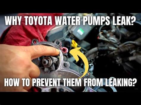 Why Do Toyota Water Pumps Leak How To Prevent Them From Leaking Youtube