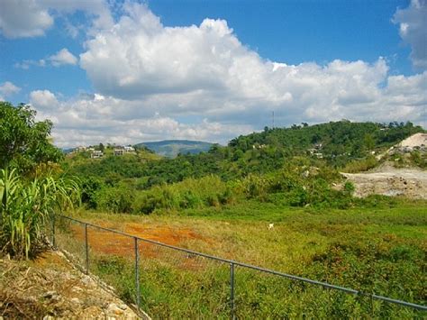 Residential Lot For Sale In Marshalls Pen New Green Manchester Jamaica