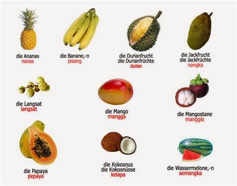 Yuk Belajar Bahasa Jerman Das Obst Nama Buah