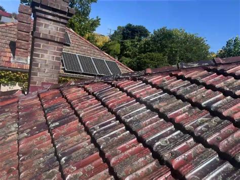 Professional Roof Repairs In Sydney