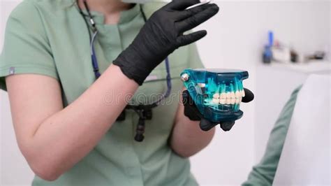 A Dental Professional Wearing Gloves And A Mask Holds A Dental Model