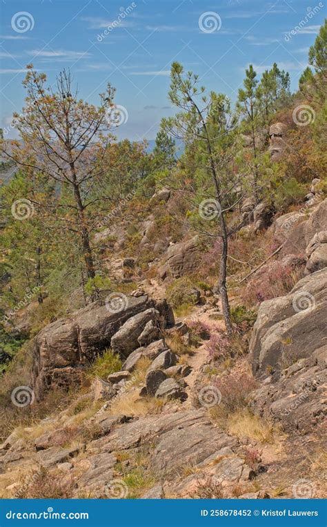 Mountain Hiking Trail in the Portuguese Countryside Stock Photo - Image ...