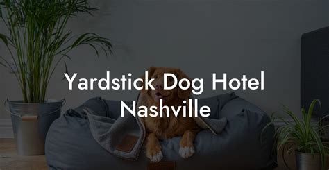 Yardstick Dog Hotel Nashville Dog Hotels