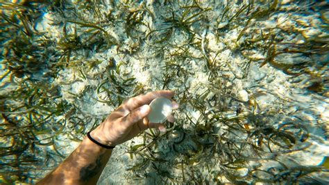 6 Best Key Largo Snorkeling Spots, with Tips! - Be My Travel Muse