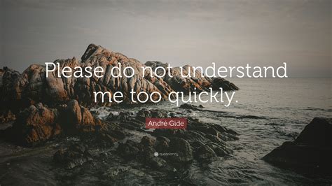 Dont Understand Me Quotes