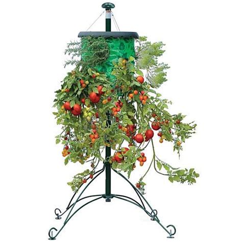 Topsy Turvy® Tomato Tree® Planter The As Seen On Tv Market Growing