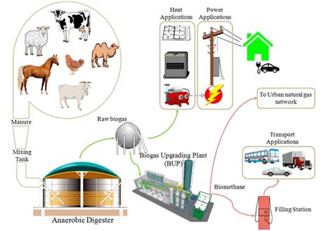 Biogas Reactor Working Principle With Underground Structure Outline