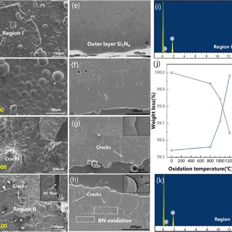 The SEM Images Of The Surface And Cross Section Of SiC F Si 3 N 4