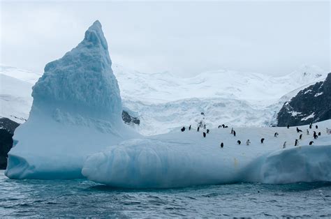 12 Photos of Elephant Island That Will Make You Want To Go To Antarctica