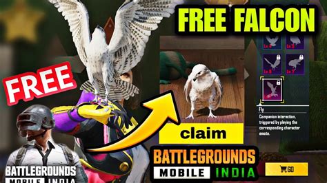 Finally Free Falcon How To Get Free Falcon Companion In Bgmi Bgmi Me