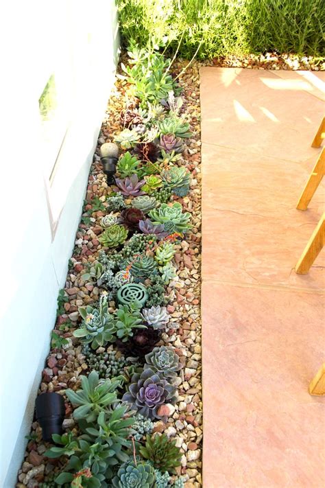 Succulents Garden Design Gazebodesign