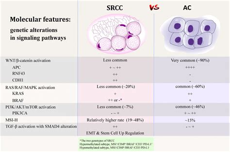 Por Clinicopathological And Molecular Characteristics Of Colorectal Signet Ring Cell Carcinoma