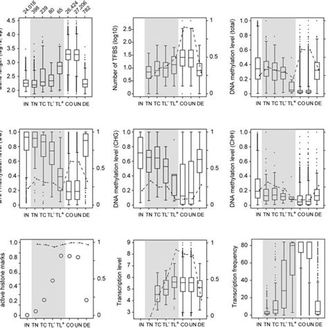 —Gene features with significant differences between de novo gene types ...