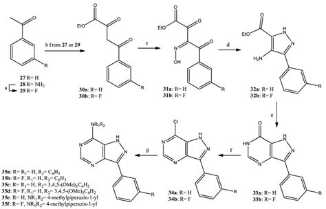 Scheme 3 Reagents And Conditions A Bf 3 Et 2 O 2 Isoamyl Download Scientific Diagram