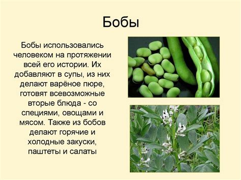 Блюда из круп, макарон и бобовых - презентация онлайн