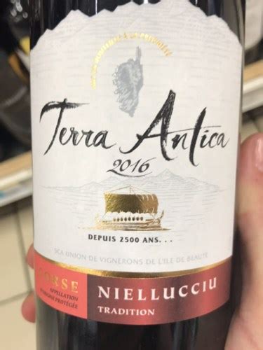 Terra Antica Niellucciu Tradition Vivino Australia