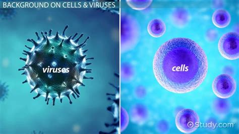 Cells Vs Virus Definition Differences And Characteristics Lesson