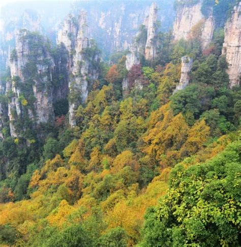 【仙境张家界】长沙橘子洲、张家界大峡谷玻璃桥、天门山玻璃栈道、凤凰古城高铁4天游湖南互8旅游