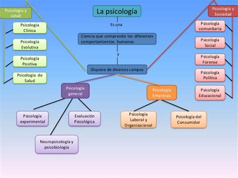 Mapa Conceptual De Psicología ¡guía Paso A Paso