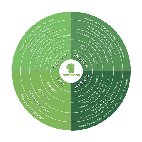 Sativa vs Indica vs Hybrid : Differences & How to Choose the Best Strain