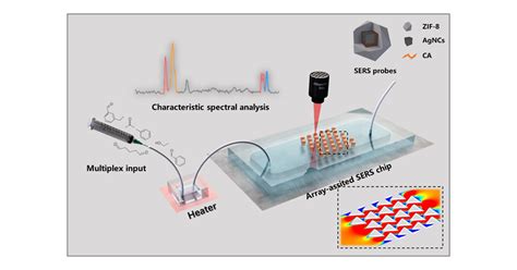 Array Assisted SERS Microfluidic Chips For Highly Sensitive And