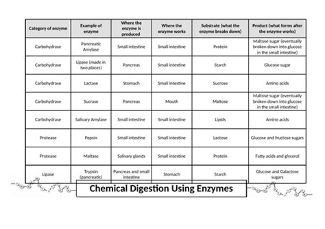 Biological Molecules A Complete Set Of Resources For Cie Igcse Biology Teaching Resources