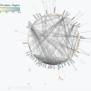 Ppi Network Analysis Of Common Up Regulated Genes Nodes Represent The