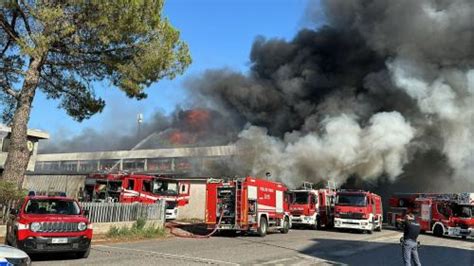 Incendio In Salento Nel Parco Di Ugento Canadair In Azione Tg La