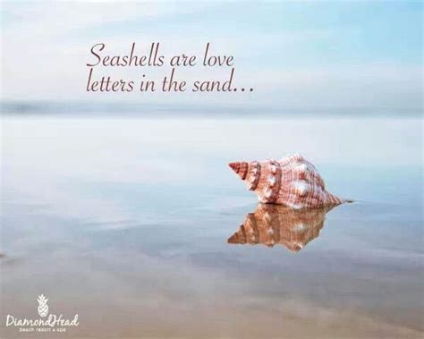 Seashells Are Love Letters In The Sand ♥♥♥ Ocean Beach Quotes My Parrot Head Life Pinterest