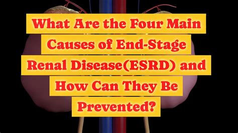 What Are The Four Main Causes Of End Stage Renal Disease Esrd And How Can They Be Prevented