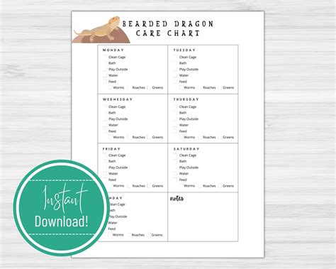 Printable Bearded Dragon Care Sheet