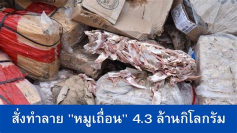 Newsline สั่งทำลาย หมูเถื่อน 43 ล้านกิโลกรัม กรมศุลกากรมีหนังสือ