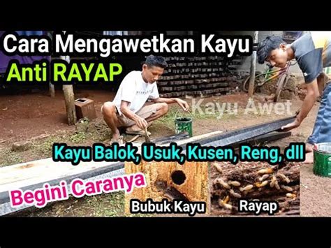 Cara Mengawetkan Kayu Anti Rayap Cara Membasmi Rayap Di Rumah Obat