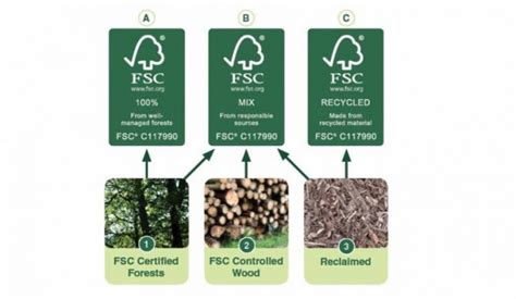 FSC Certifications And Why Going Green Matters Netbit