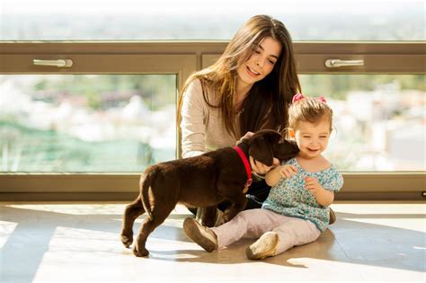 Cómo enseñar a un cachorro a hacer sus necesidades en la calle