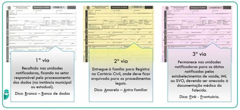 Resumo de Declaração de Óbito conceito preenchimento e mais