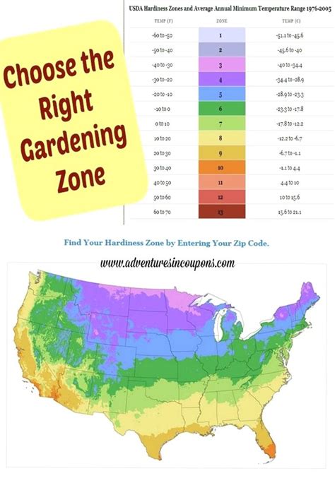 Gardening Tips Singapore Gardeningtips Gardening Zones Planting Zones Map Green Thumb