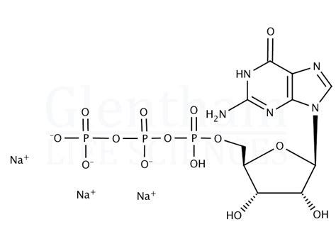 Guanosine Triphosphate Sodium Salt Hydrate Cas