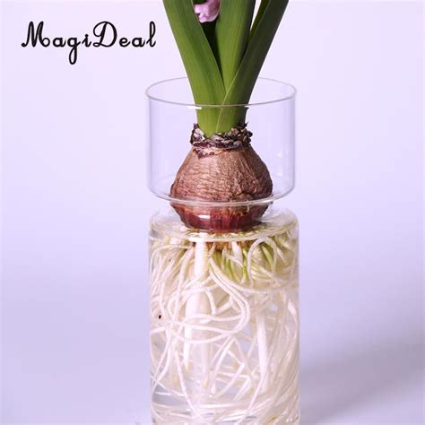 28 Awesome Glass Hyacinth Bulb Vase 2024