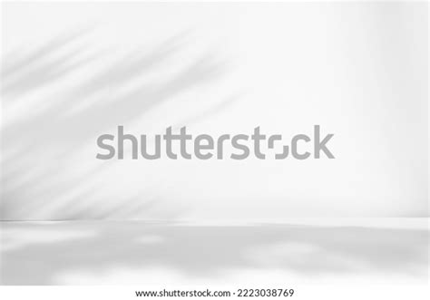 Abstract White Studio Background Product Presentation Stock Photo 2223038769 | Shutterstock