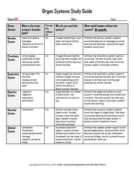 Human Body Organ Systems Test Study Guide Handout Worksheet Information