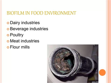 Biofilm In Food Industries 1 Ppt