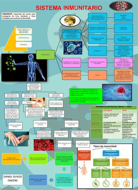 Sistema Inmunitario Mapa Mental By Camille Almanzar Santos On Genially