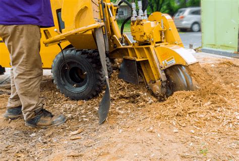 How To Find The Best Stump Grinders For Your Needs The Forestry Pros