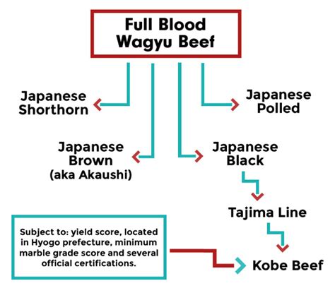 What Is Wagyu Beef A Complete Guide Jess Pryles